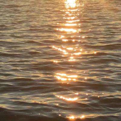 欧宝娱乐APP官方下载截图